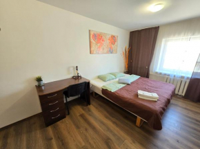 Z17 River apartment studio Klaipeda